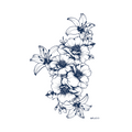 Mixed peony and lily bouquet, indigo line art