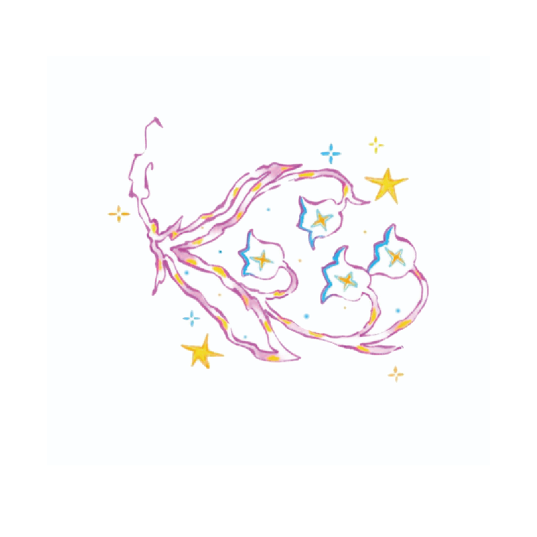 Pink shooting stars cluster