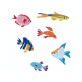 Painted tropical aquarium fish