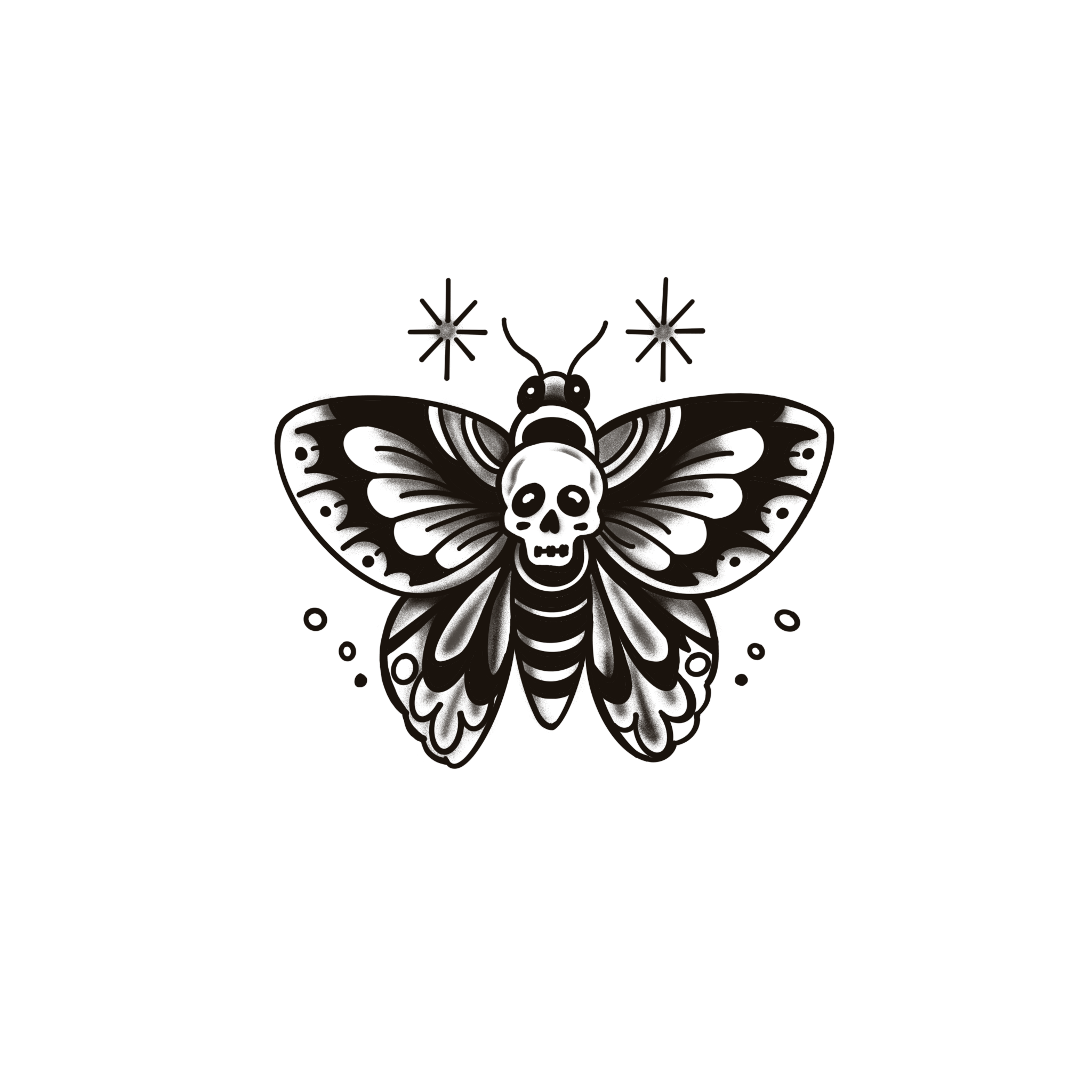 Moth with skull marking